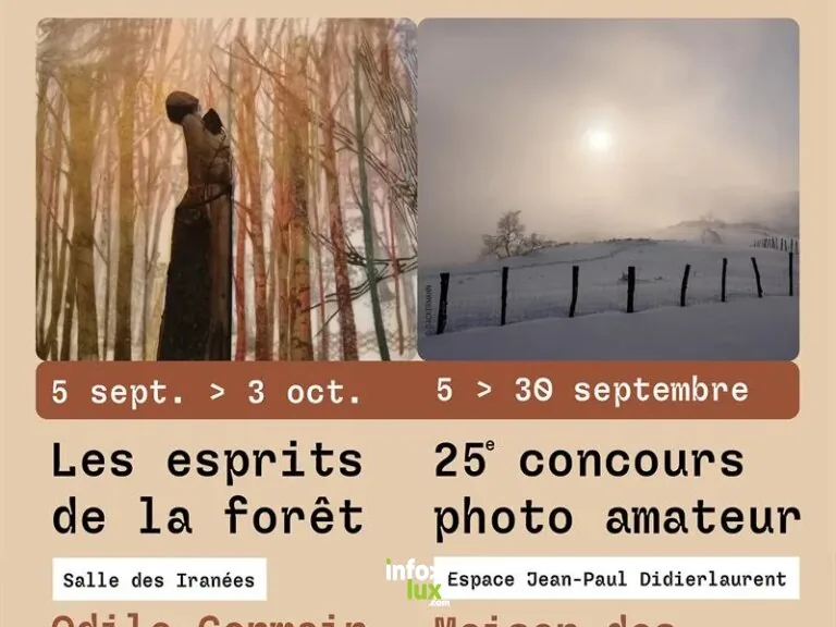 La Bresse > Exposition > Exposition les esprits de la forêt