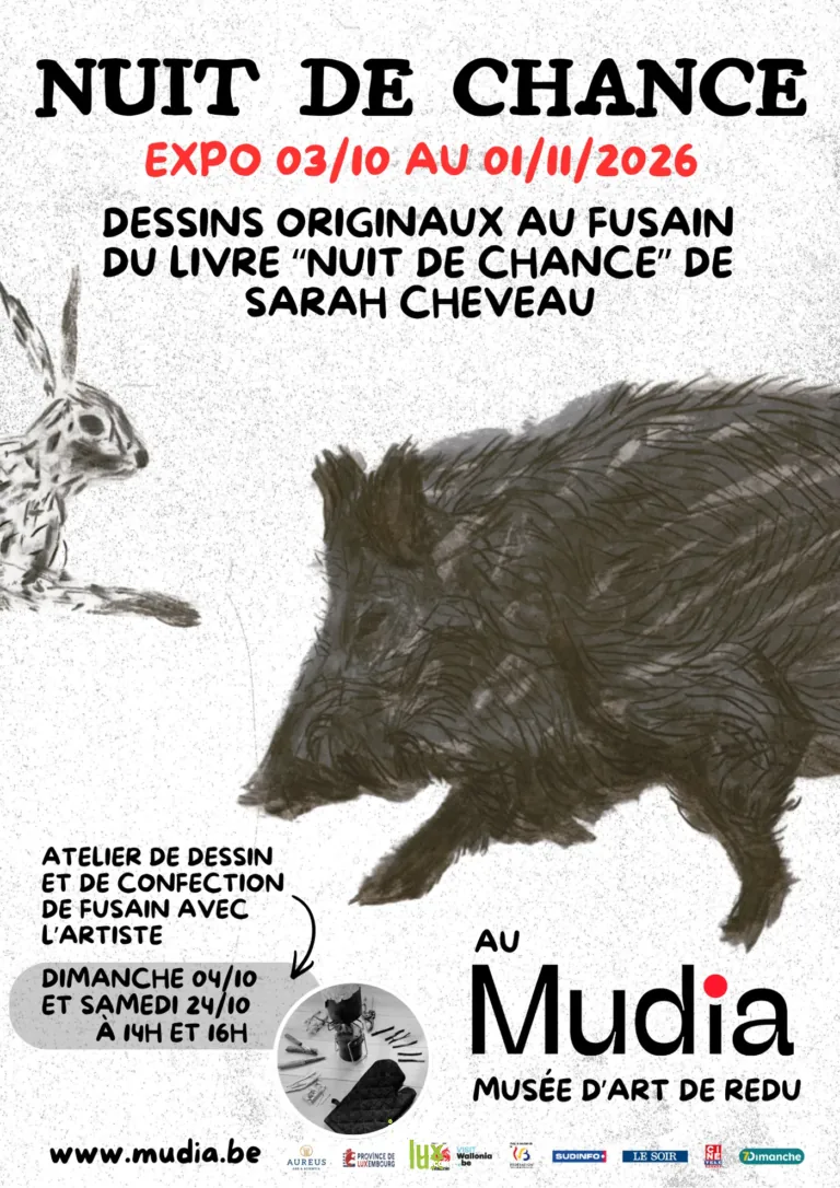 Libin > Exposition > Exposition : Nuit de chance au Mudia