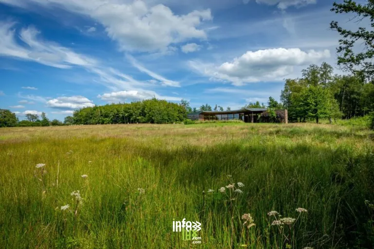 La fagne de Malchamps à Spa