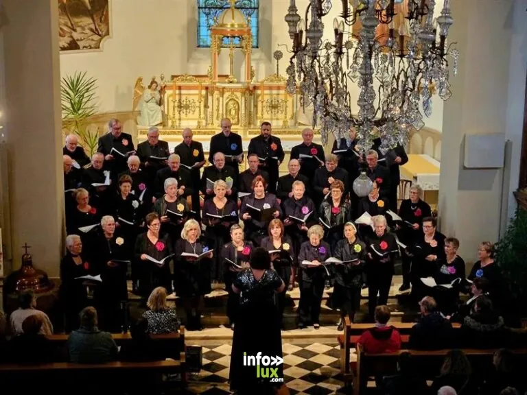 Hochfelden > Festival > Festival de l’orgue STIEHR : Org’felden