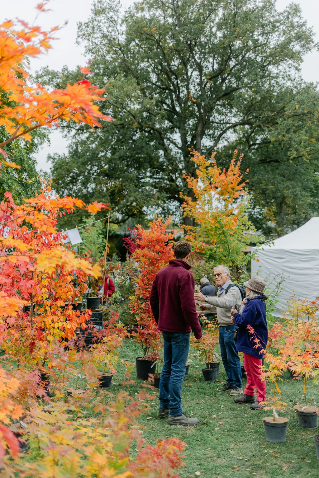 Visiteurs parmi les érables aux feuillages rouges et orangés à la Fête des Plantes d’Aywiers