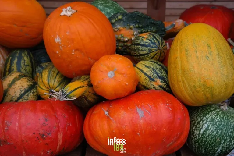 Gerpinnes > Marché > Fête du potiron de Gerpinnes 2026