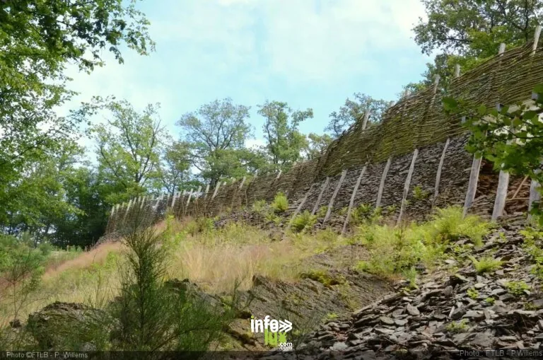 La forteresse celtique du Cheslé à La Roche-en-Ardenne