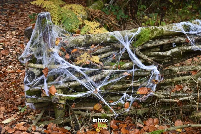 Vaux-sur-Sûre > Parc animalier > Halloween au Zooparc Vallée de la Sûre 2026