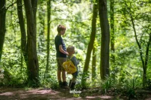 Haut-bois : Balade de Haut-bois à Gesves : balade en forêt — Gesves Haut-bois : Balade de Haut-bois à Gesves : balade en forêt — Gesves
