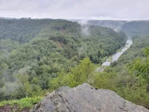 Herbeumont : Forêt d’Herbeumont et Rocher du Chat : balade en forêt — Herbeumont Herbeumont : Forêt d’Herbeumont et Rocher du Chat : balade en forêt — Herbeumont