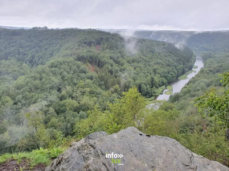 Herbeumont : Forêt d'Herbeumont et Rocher du Chat : balade en forêt