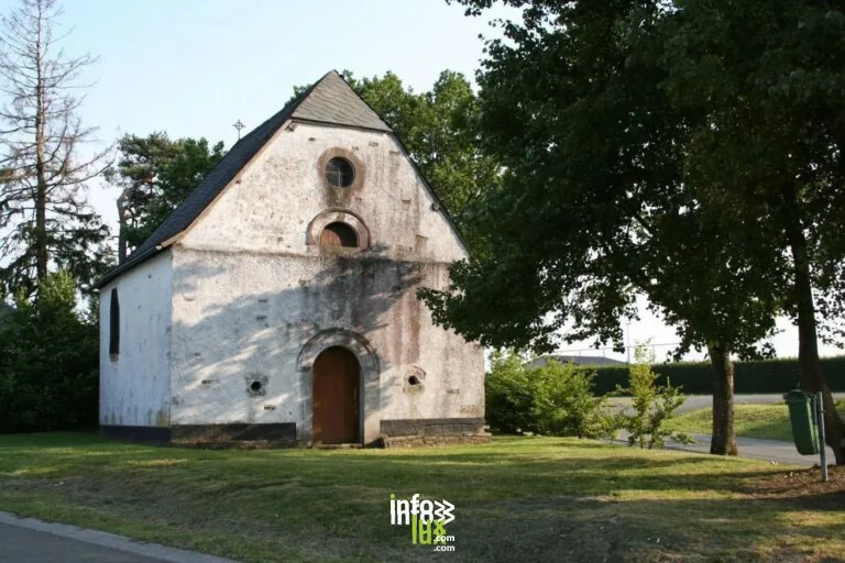 Houffalize - "Promenade Hêtre isolé" (+) : balade en forêt
