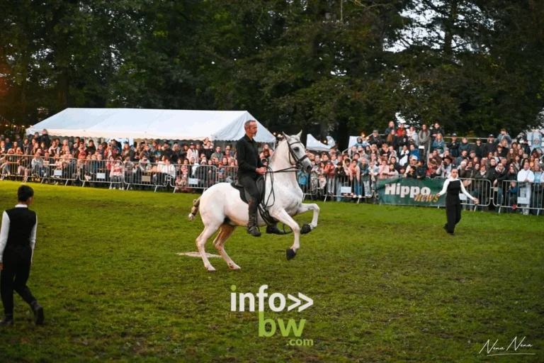 Journées du Cheval de Braine-l’Alleud 2026 : plus de 100 cavaliers, joutes médiévales et nocturne « Hypnotica » au parc du Cheneau les 26 et 27 septembre