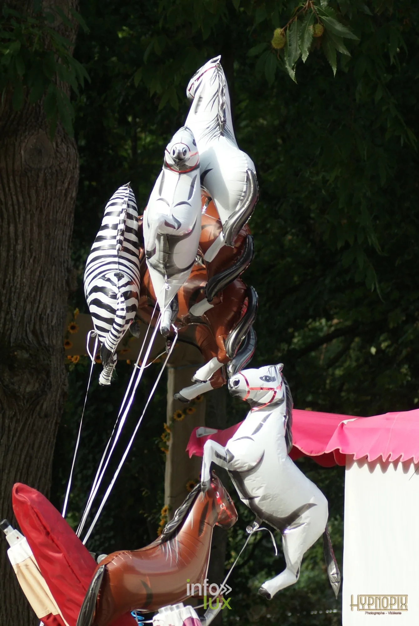 Journées du Cheval 2026 à Braine-l’Alleud, parc du Cheneau : ballons en forme de chevaux au-dessus d’un stand