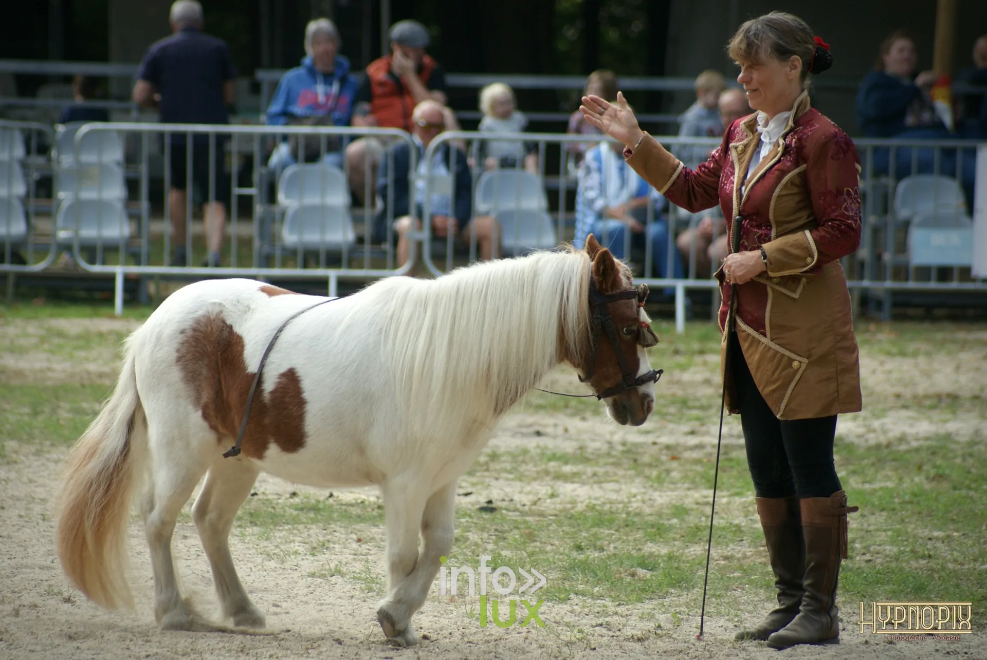 Journées du Cheval 2026 à Braine-l’Alleud, parc du Cheneau : une dresseuse et un poney pie en liberté