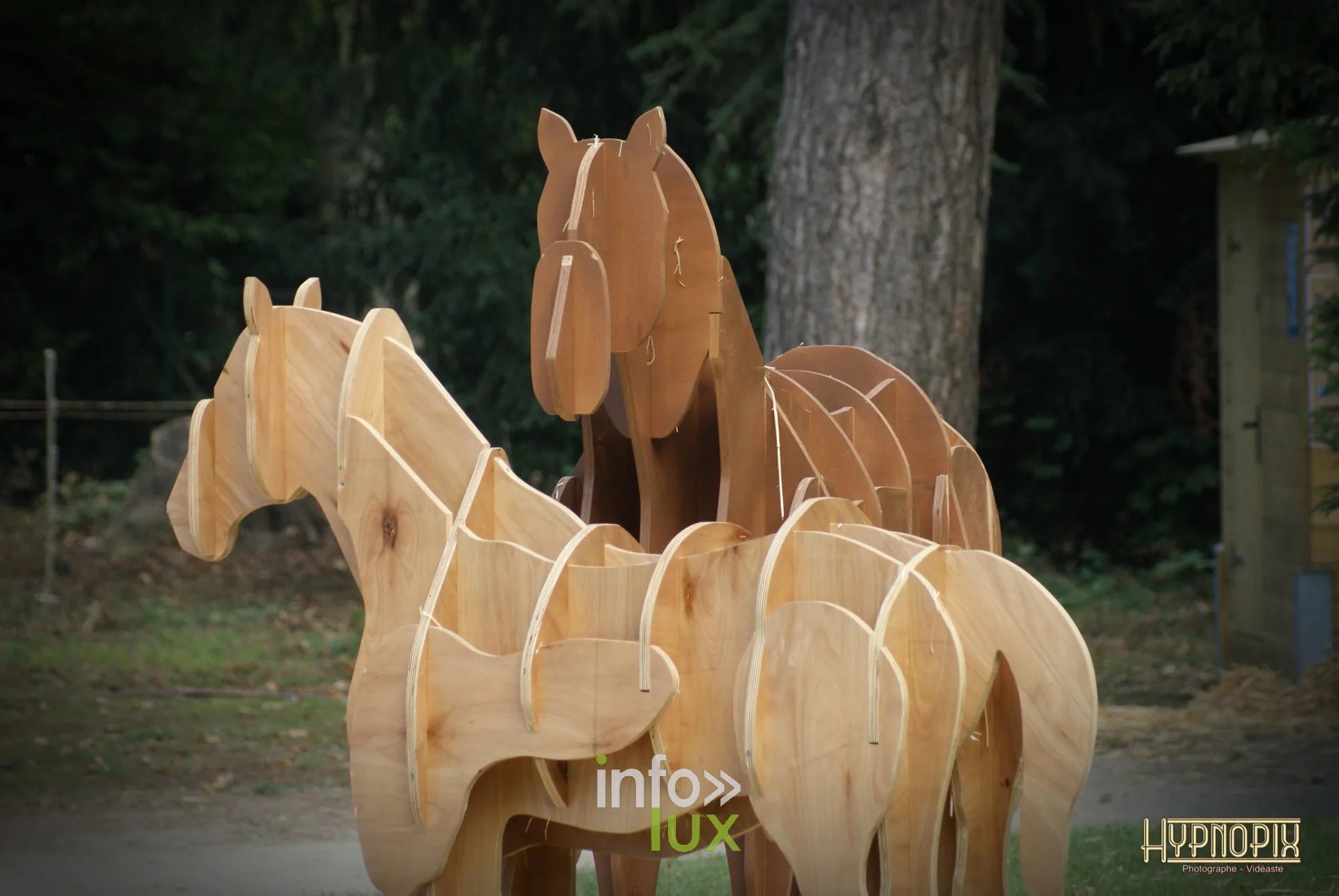 Journées du Cheval 2026 à Braine-l’Alleud, parc du Cheneau : chevaux sculptés en bois découpé