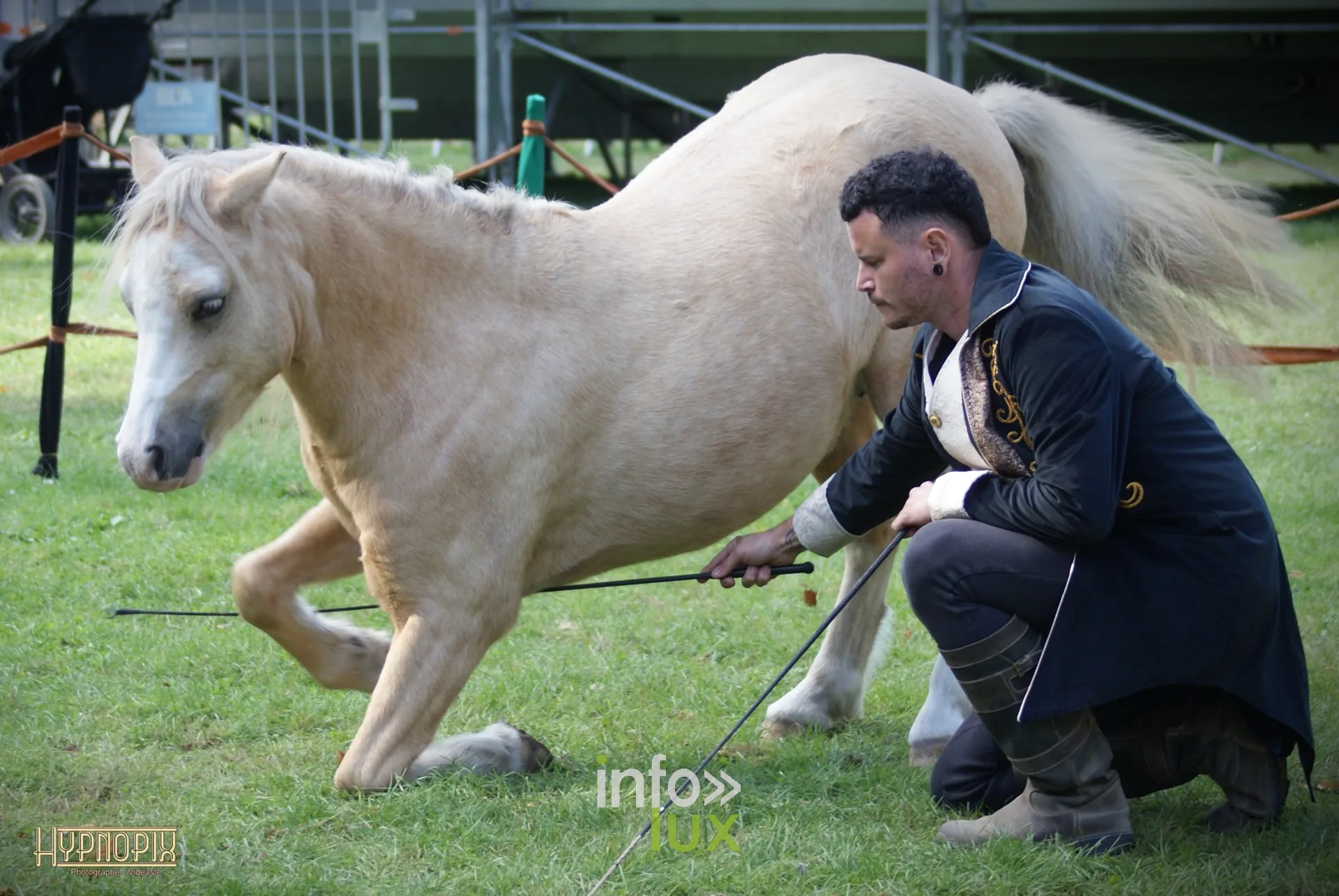 Journées du Cheval 2026 à Braine-l’Alleud, parc du Cheneau : un dresseur fait saluer un poney palomino