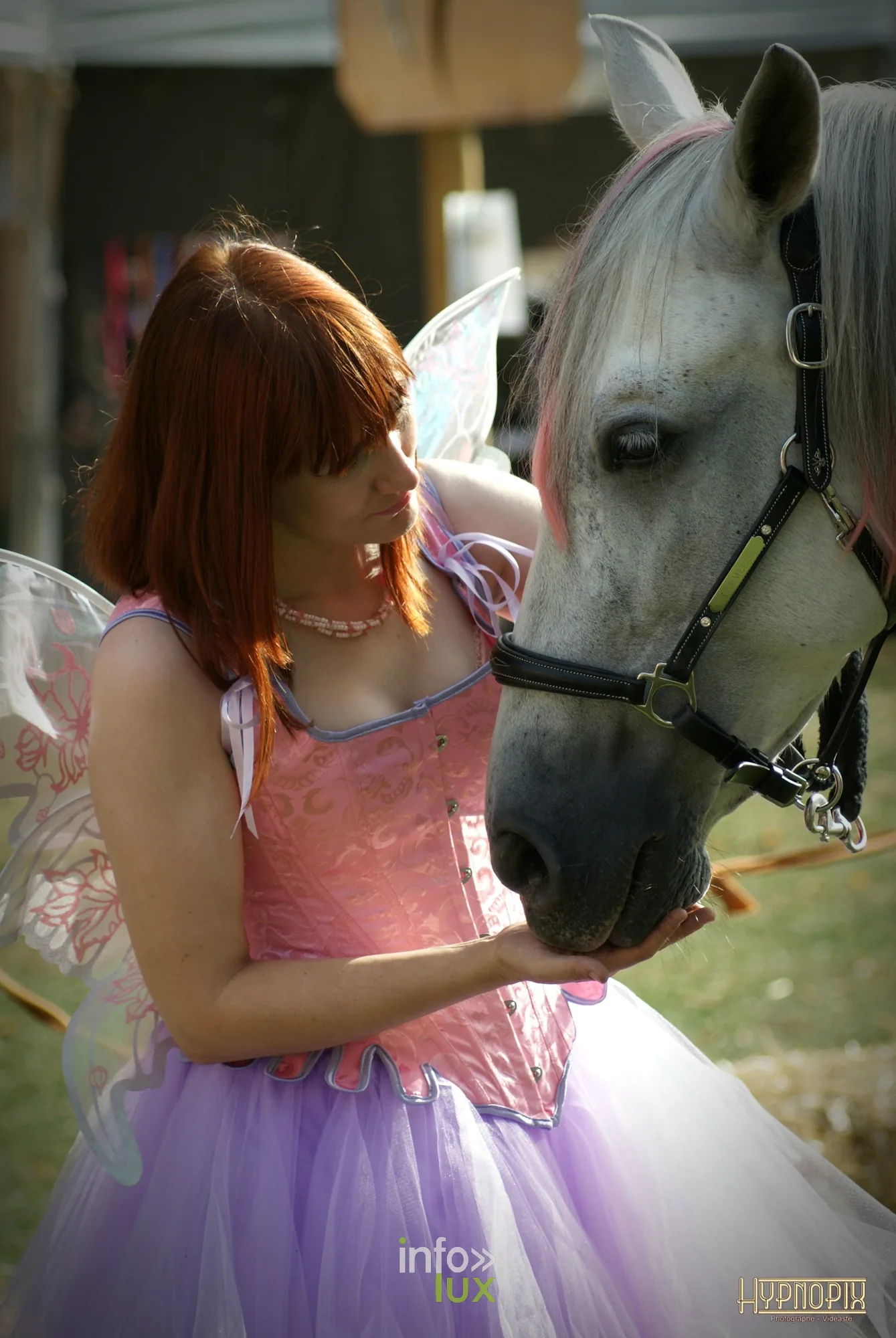 Journées du Cheval 2026 à Braine-l’Alleud, parc du Cheneau : une artiste costumée en fée caresse un cheval gris