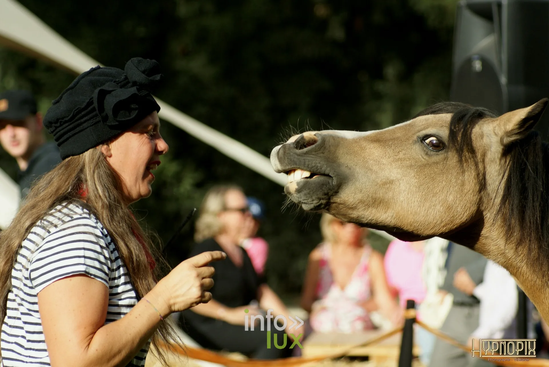 Journées du Cheval 2026 à Braine-l’Alleud, parc du Cheneau : un cheval retrousse les lèvres face à une visiteuse