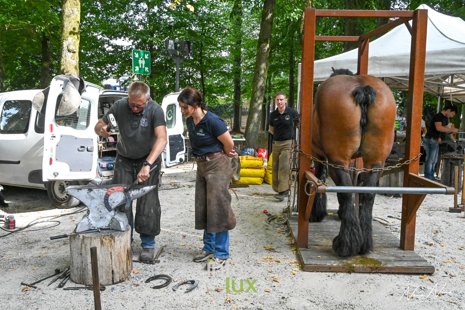 Journées du Cheval 2026 à Braine-l’Alleud, parc du Cheneau : démonstration de maréchalerie, un cheval placé dans le travail
