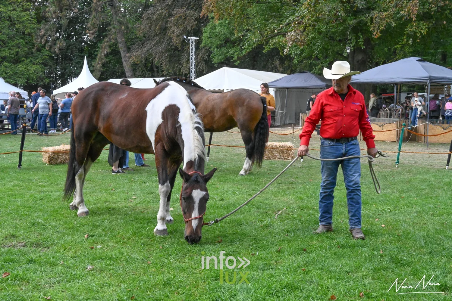 Journées du Cheval 2026 à Braine-l’Alleud, parc du Cheneau : un homme en chapeau de cow-boy et chemise rouge avec deux chevaux sur la pelouse