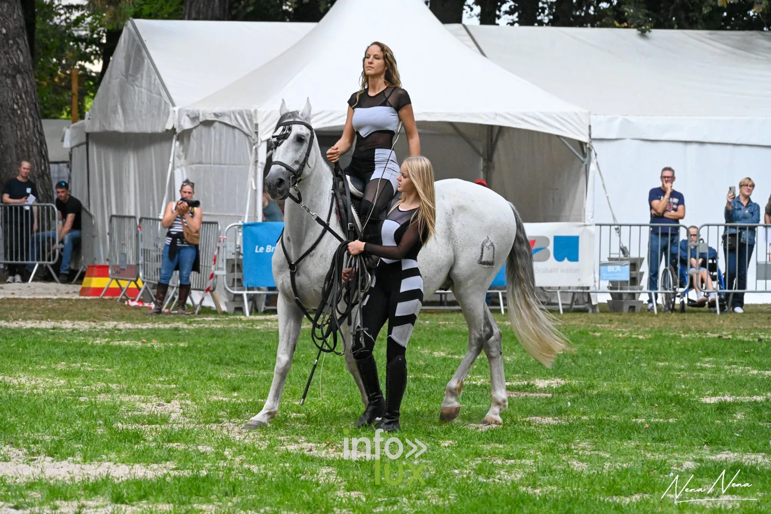 Journées du Cheval 2026 à Braine-l’Alleud, parc du Cheneau : une voltigeuse debout sur le dos d’un cheval gris