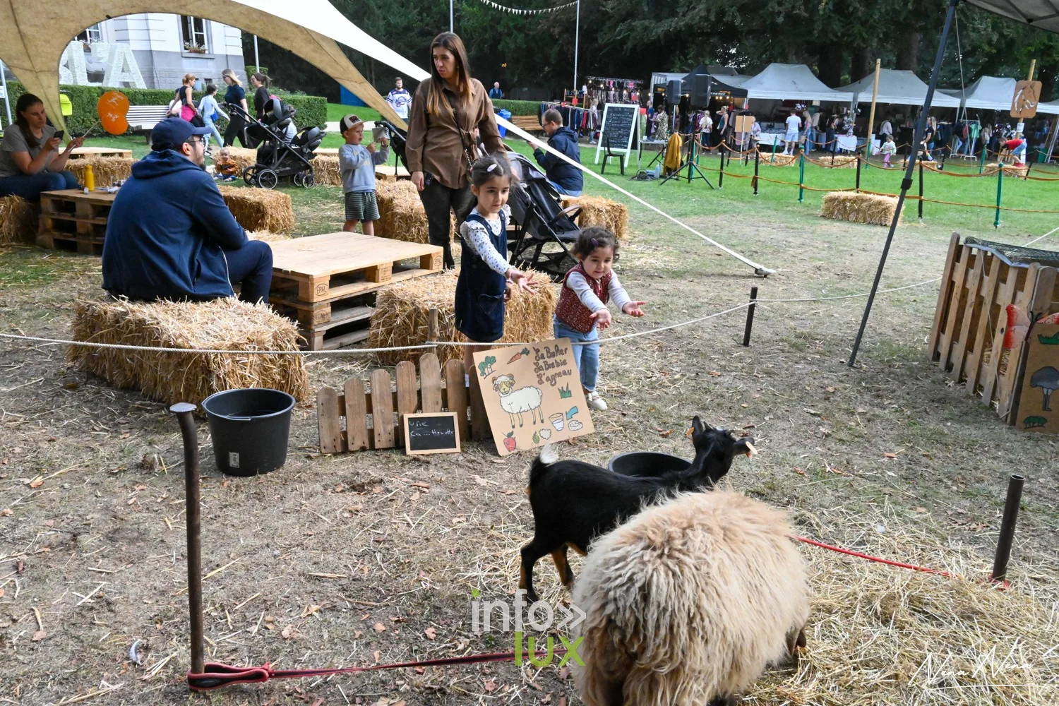Journées du Cheval 2026 à Braine-l’Alleud, parc du Cheneau : le coin des animaux de la ferme : chèvre et mouton sur la paille