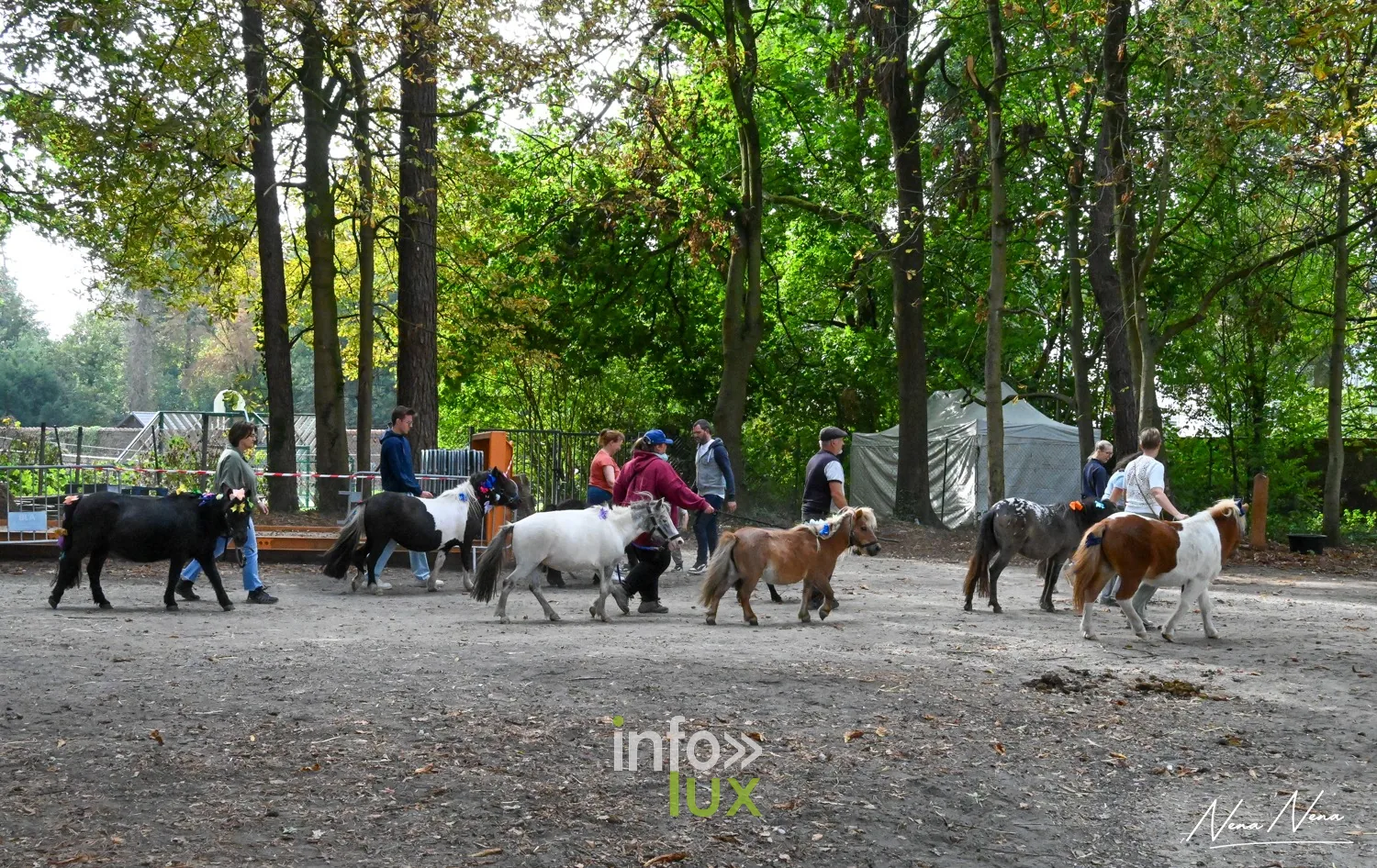Journées du Cheval 2026 à Braine-l’Alleud, parc du Cheneau : des poneys menés en main dans une allée du parc