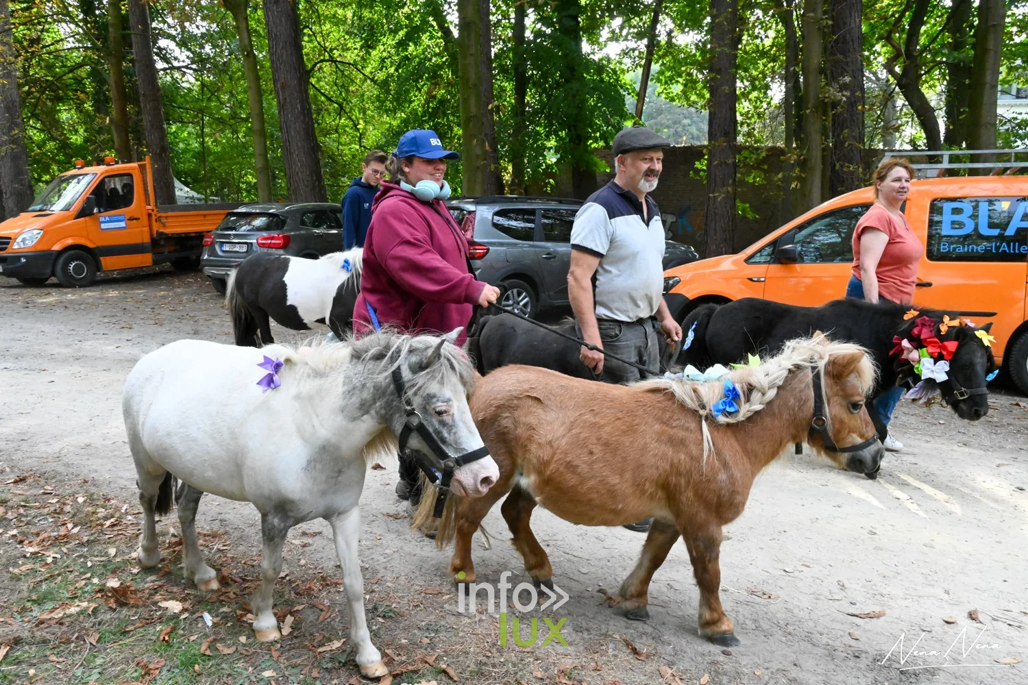 Journées du Cheval 2026 à Braine-l’Alleud, parc du Cheneau : des poneys décorés conduits par leurs meneurs