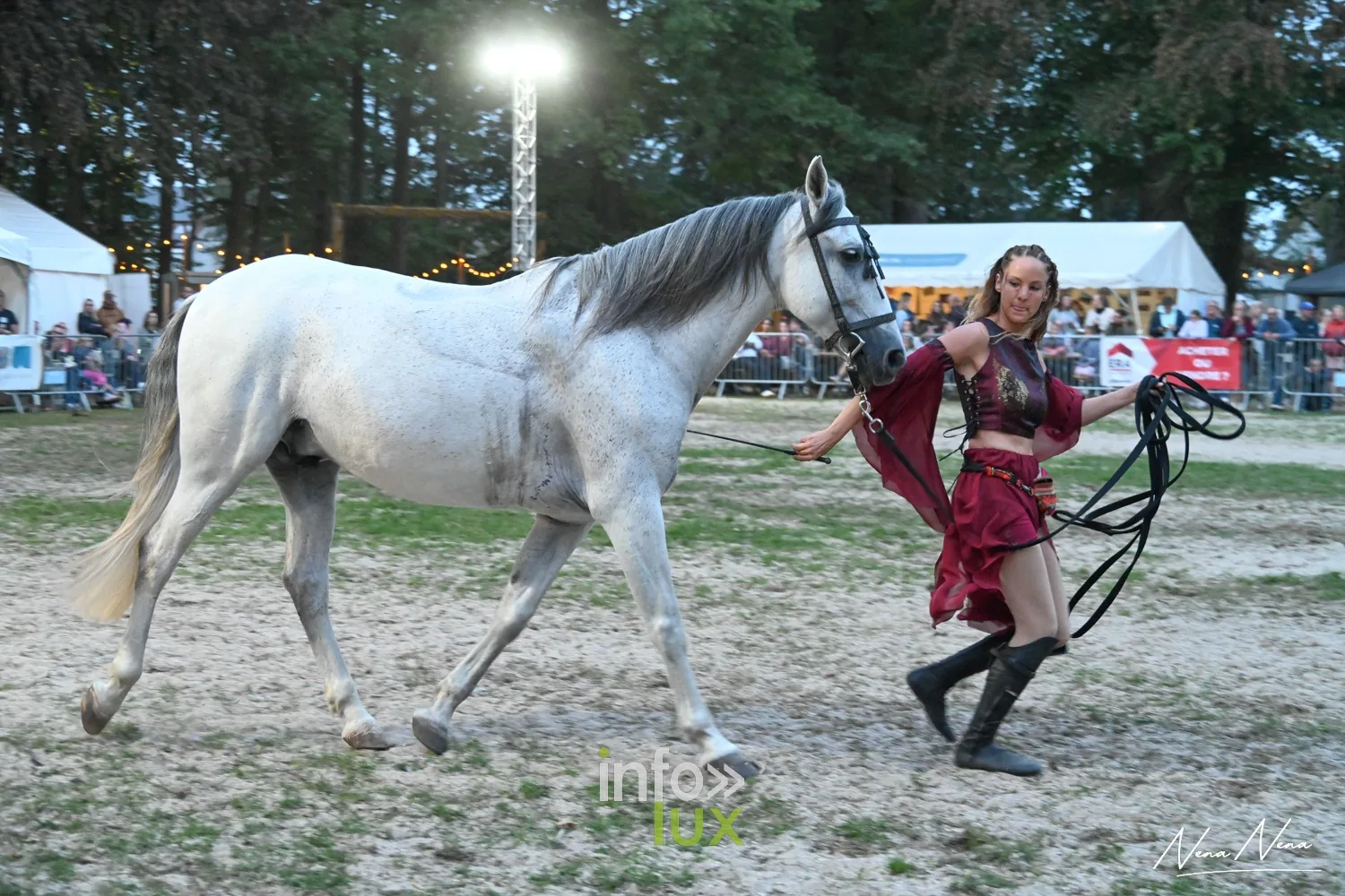 Journées du Cheval 2026 à Braine-l’Alleud, parc du Cheneau : le cheval gris en liberté aux côtés de l’artiste en rouge