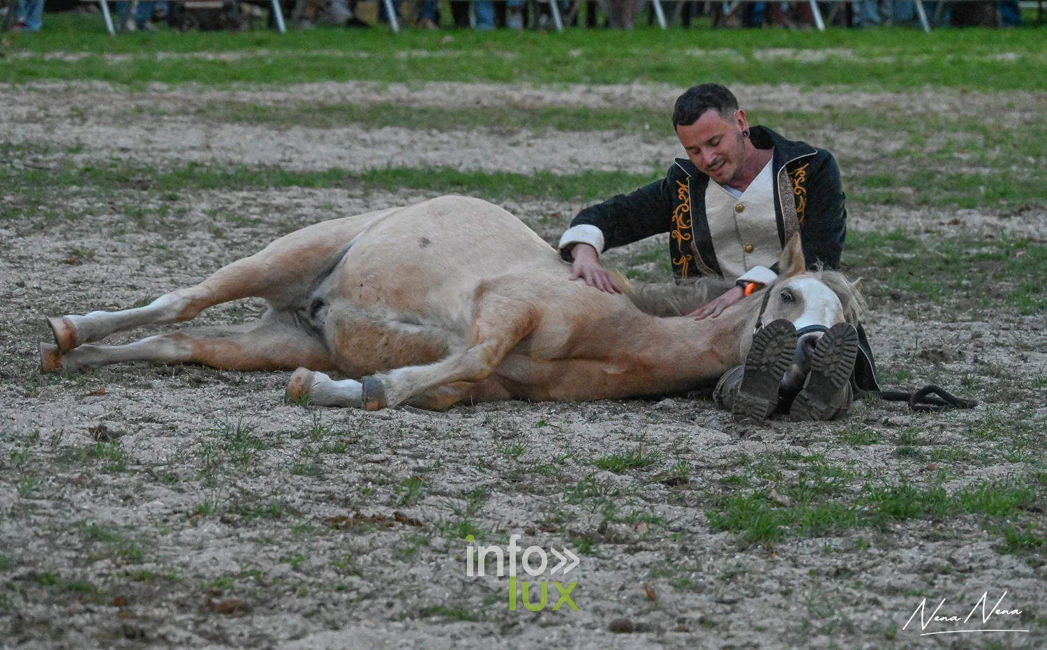 Journées du Cheval 2026 à Braine-l’Alleud, parc du Cheneau : un dresseur allongé à côté du poney palomino couché