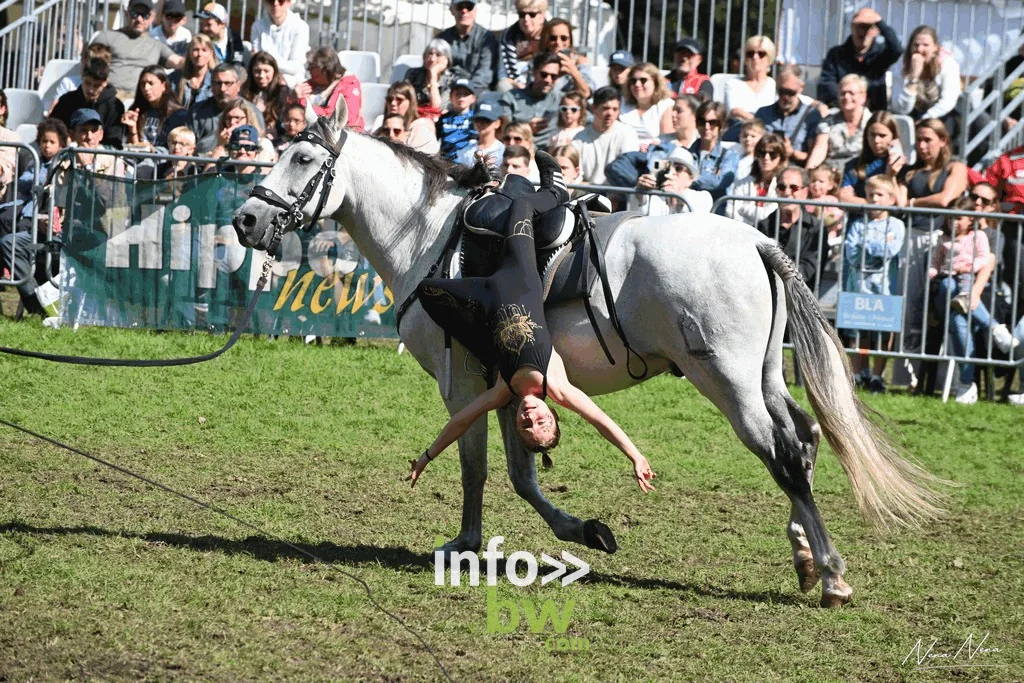 Une voltigeuse renversée sur un cheval gris au galop devant les spectateurs