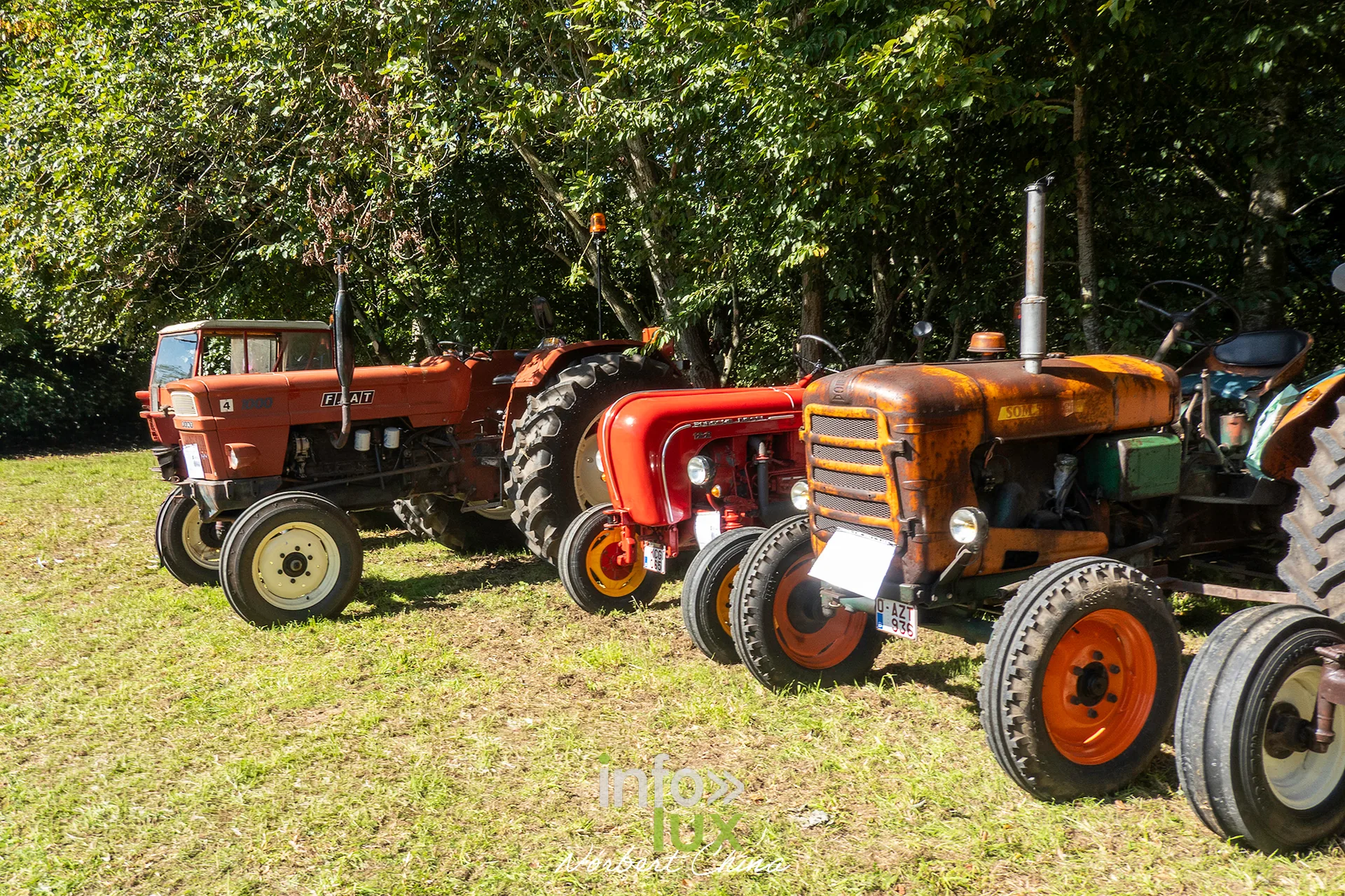 Une rangée de tracteurs anciens alignés dans l'herbe