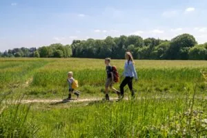 La Promenade au cœur du Condroz à Achêne : à la découverte des villages typiques à Ciney — Ciney La Promenade au cœur du Condroz à Achêne : à la découverte des villages typiques à Ciney — Ciney