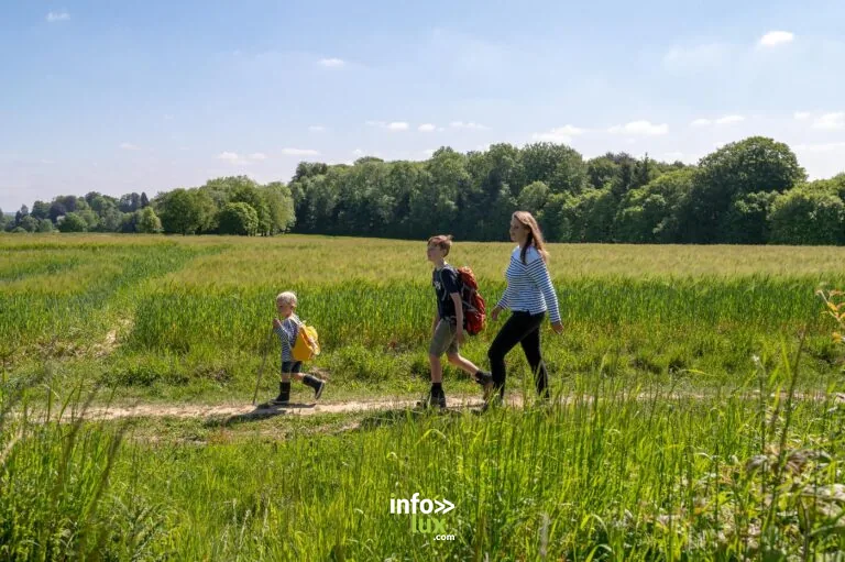 La Promenade au cœur du Condroz à Achêne : à la découverte des villages typiques à Ciney