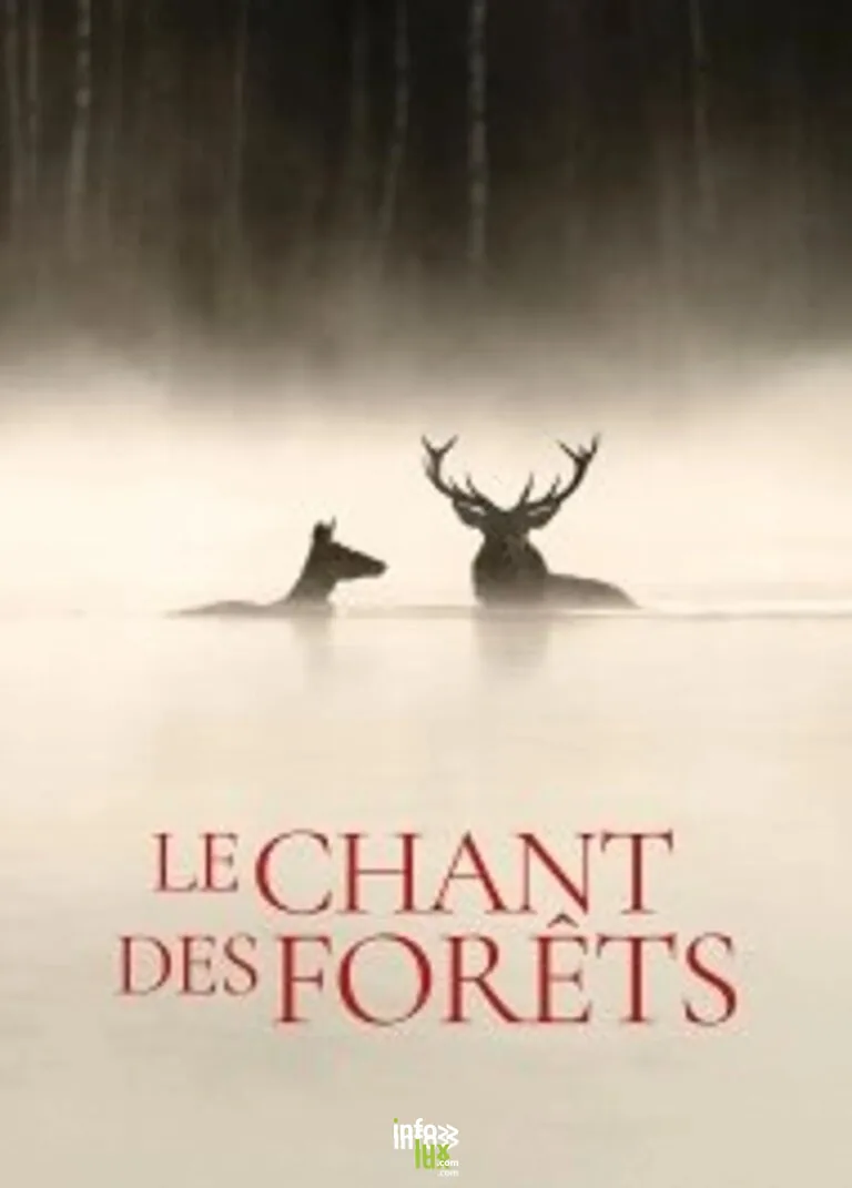 Sprimont > Concert > Le Chant des Forêts – Documentaire