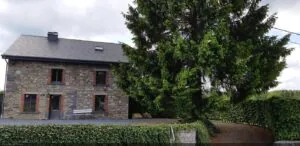 Les 12 Bois du Cerf, gîte rural à Houffalize — Houffalize Les 12 Bois du Cerf, gîte rural à Houffalize — Houffalize