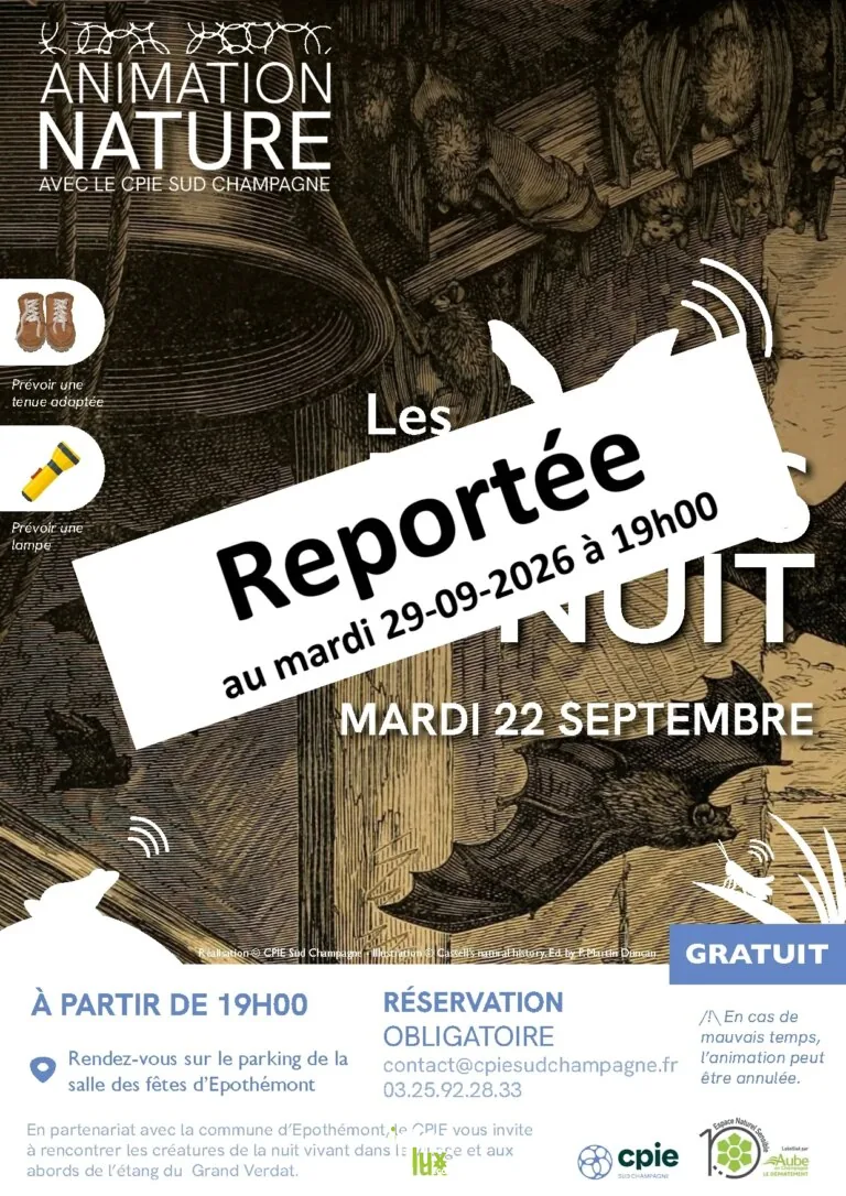 Épothémont > Sport > Les bruits de la nuit