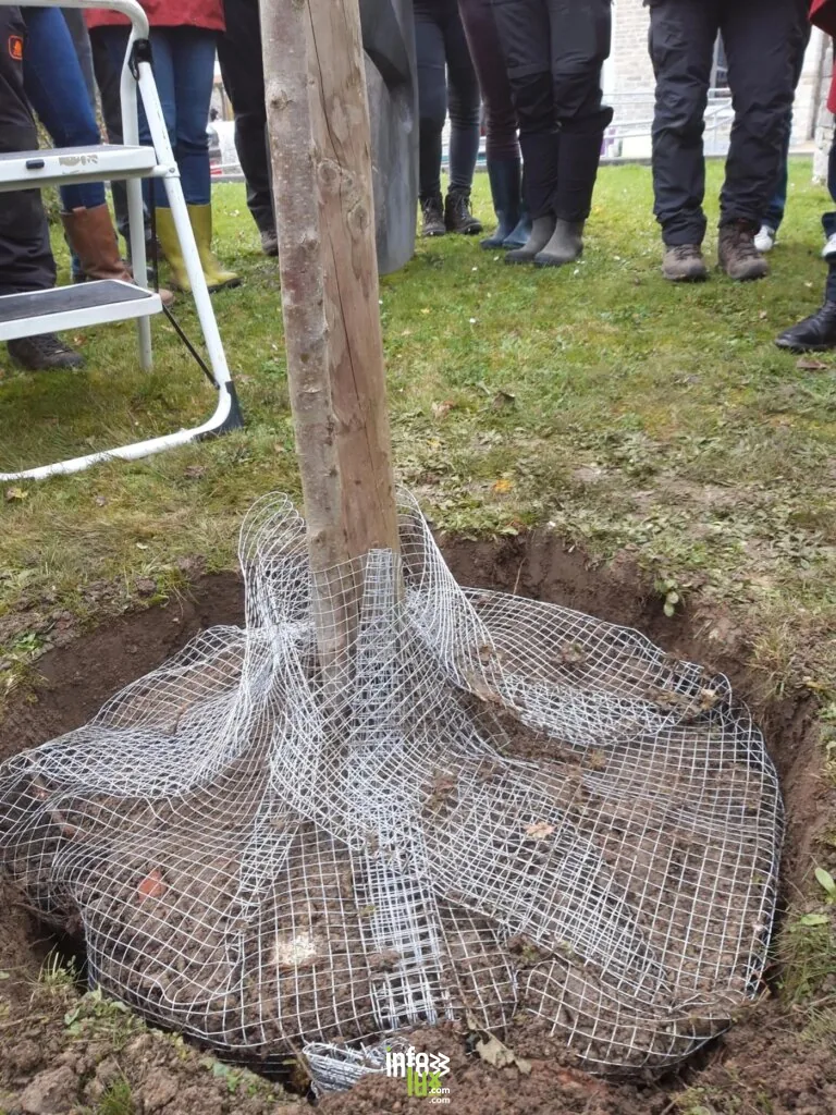 Comblain-au-Pont > Atelier > Les formations aux découvertes de Comblain : les arbres fruitiers : choix et plantation