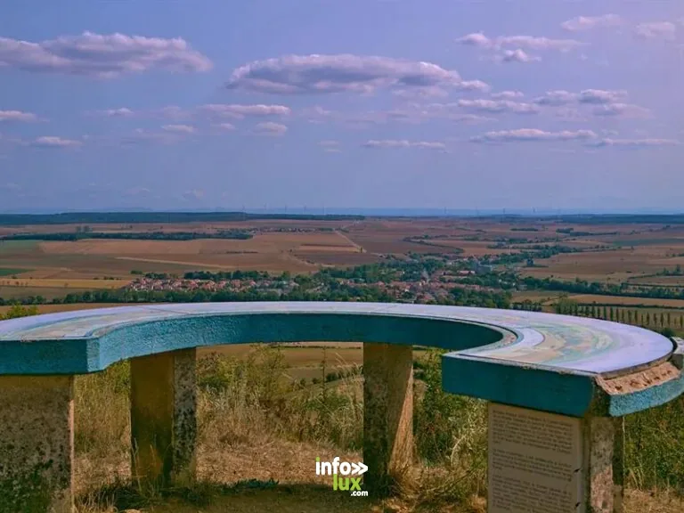 Les pelouses calcaires à Liocourt : randonnée