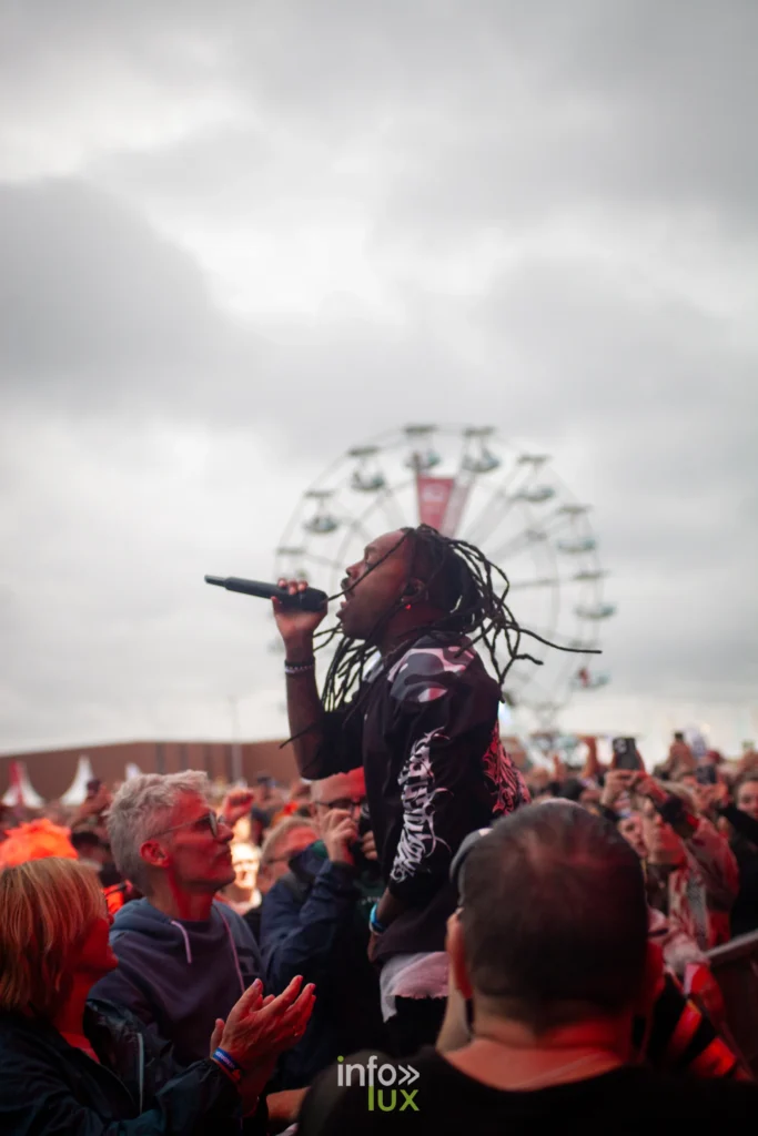Le chanteur de Skip The Use chante au milieu du public aux Solidarites 2026