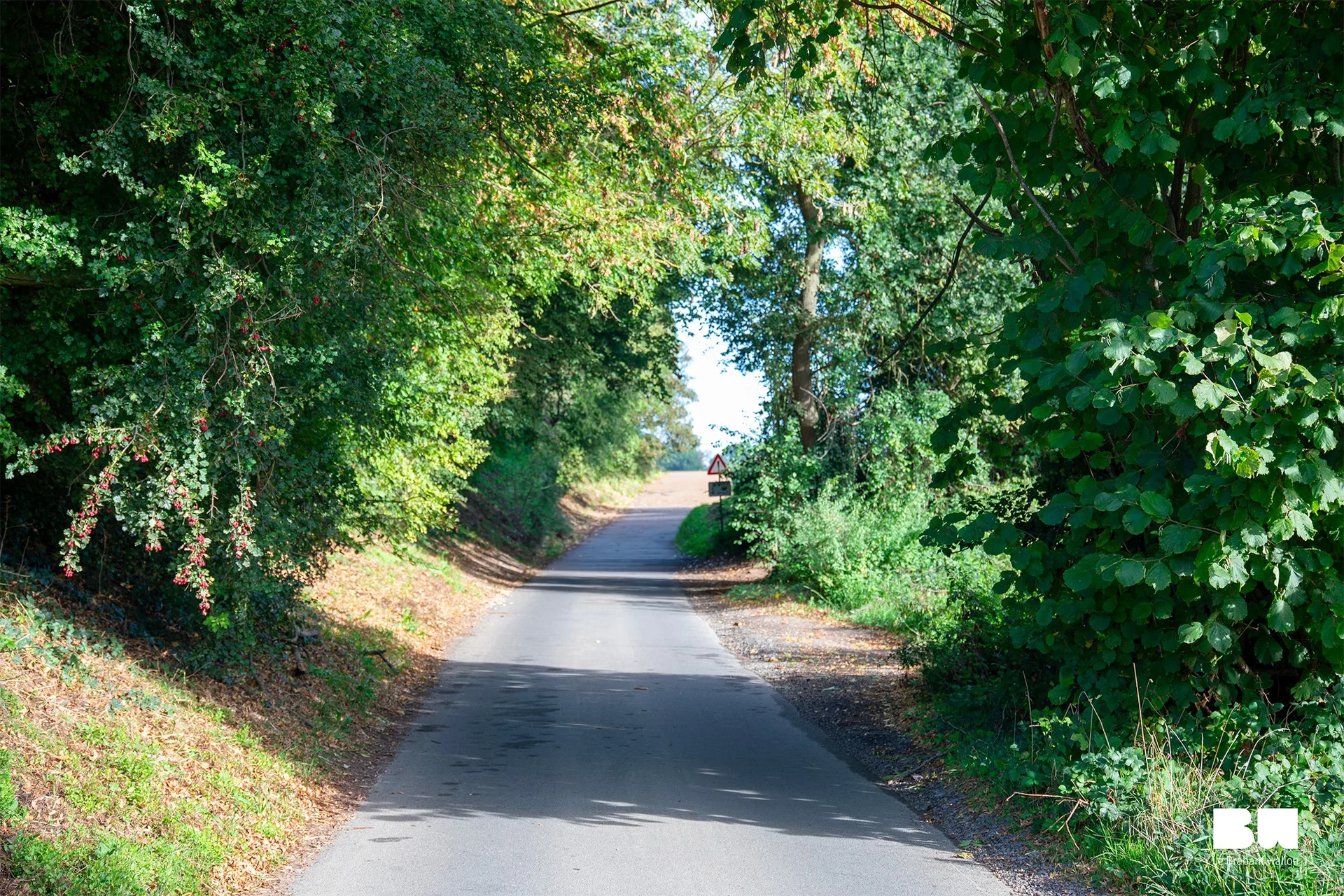 Un chemin asphalté sous les arbres, tronçon du réseau cyclable points-nœuds à Grez-Doiceau