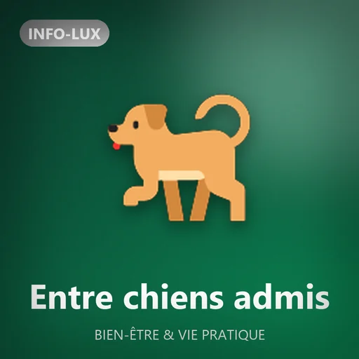 Logo de la rubrique Entre chiens admis d'Info-lux