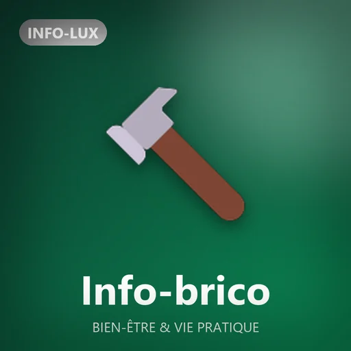 Logo de la rubrique Info-brico d'Info-lux