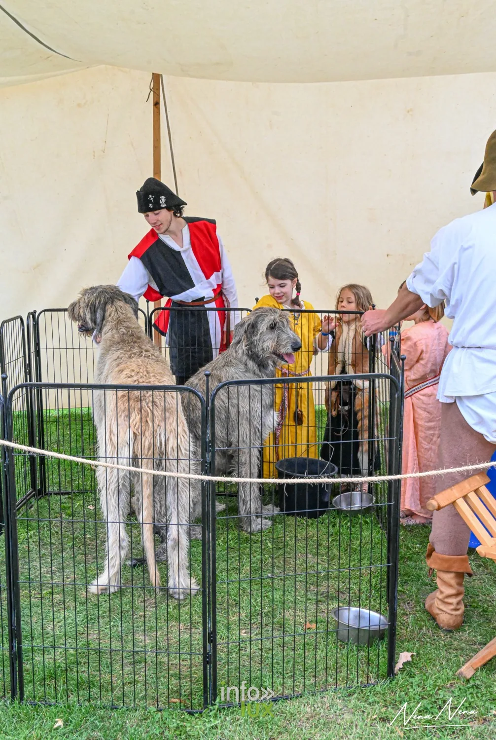 Des lévriers irlandais dans un enclos, entourés d’enfants et de personnages en costume