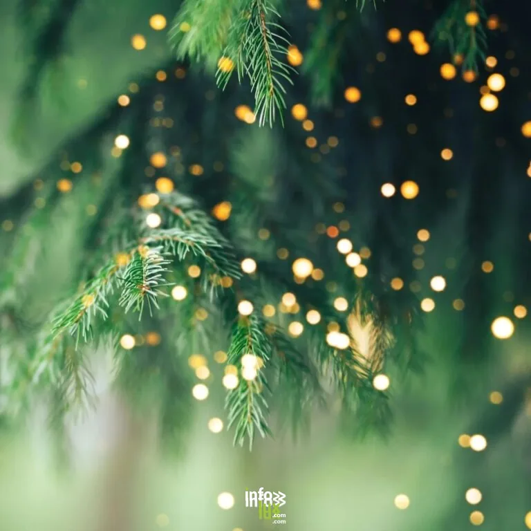 Mettet Xmas
