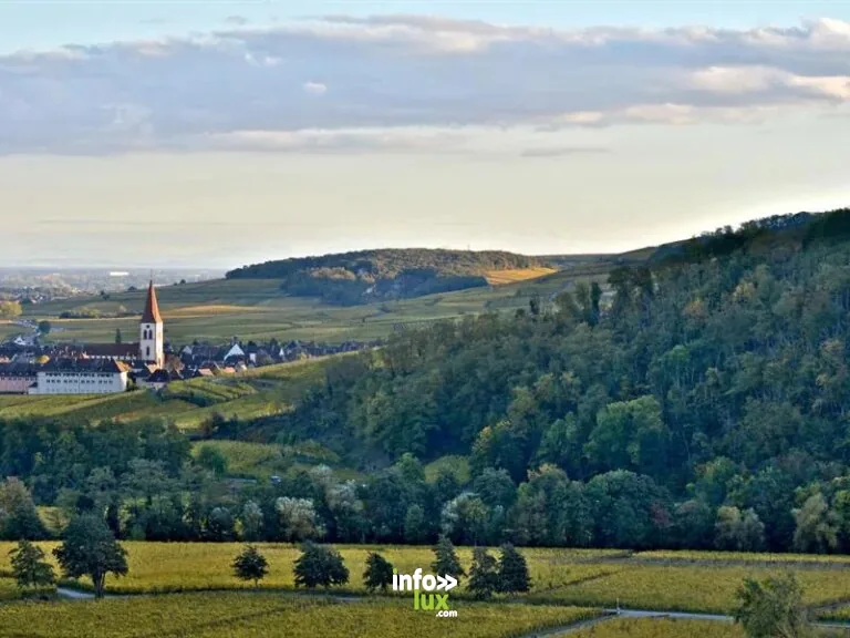 Ammerschwihr > Dégustation > Mini-rallye – Découverte du vignoble
