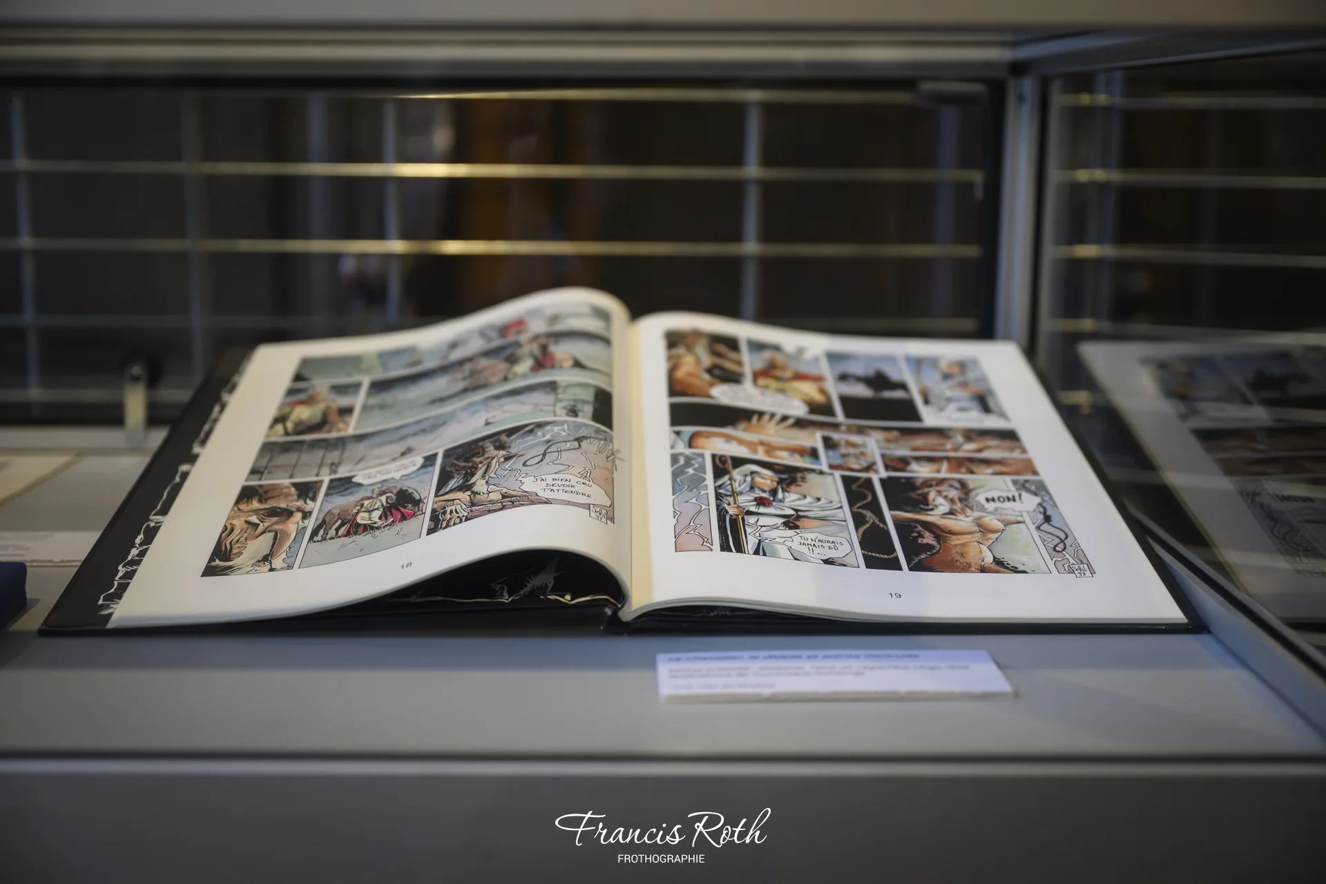 Musée communal de Nivelles, exposition « Regard sur l'iconographie de sainte Gertrude » (FR8_6978)