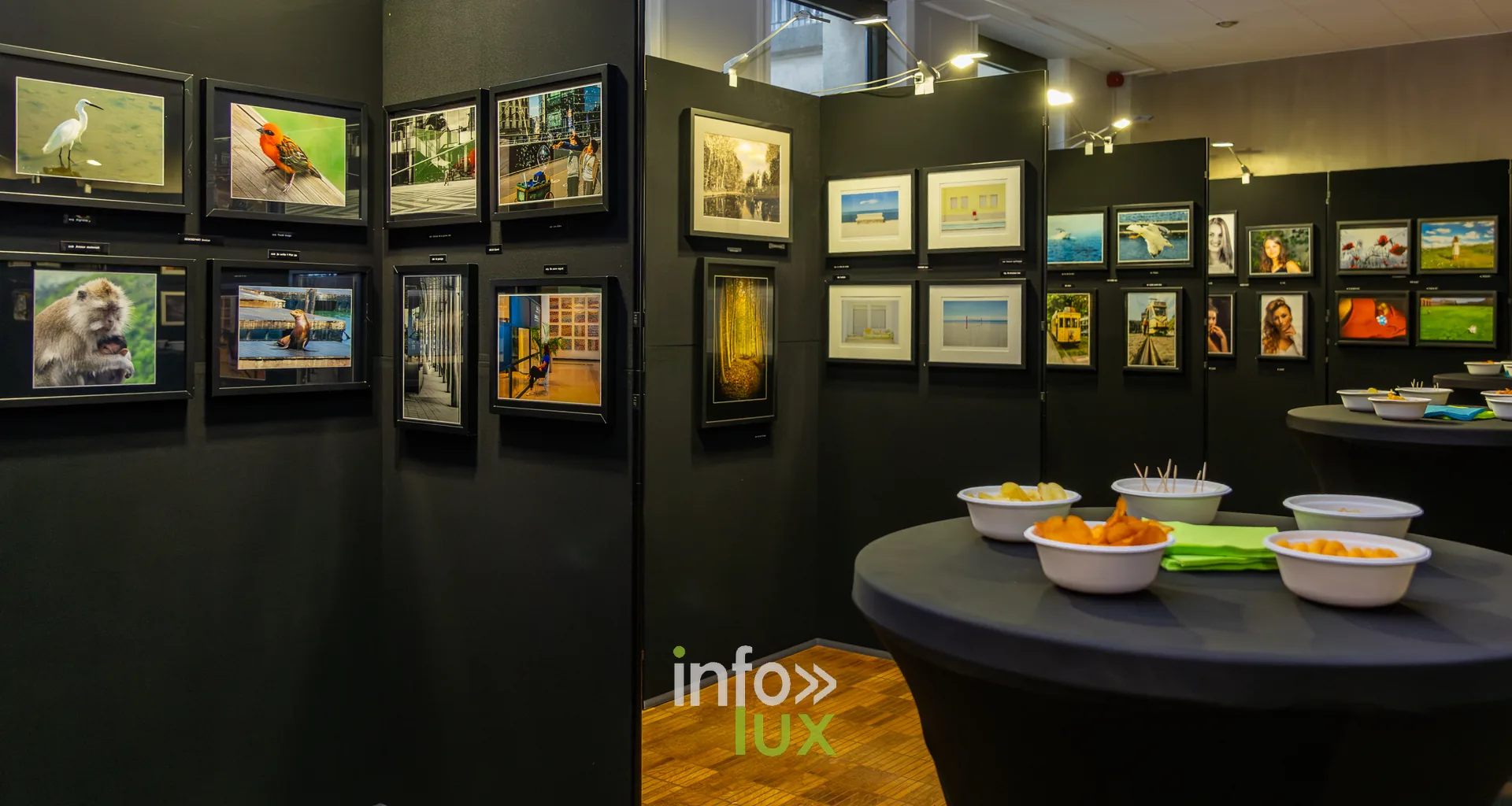 Cimaises de l’exposition du Royal Photo Club Entre Nous dans la salle des mariages de l’Hôtel de Ville de Nivelles