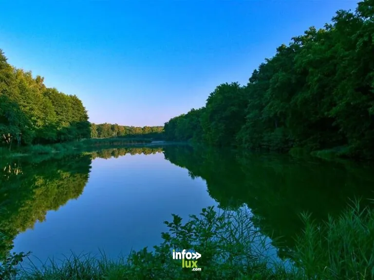 Oderfang – Porcelette – Creutzwald à Saint-Avold : itinéraire vélo