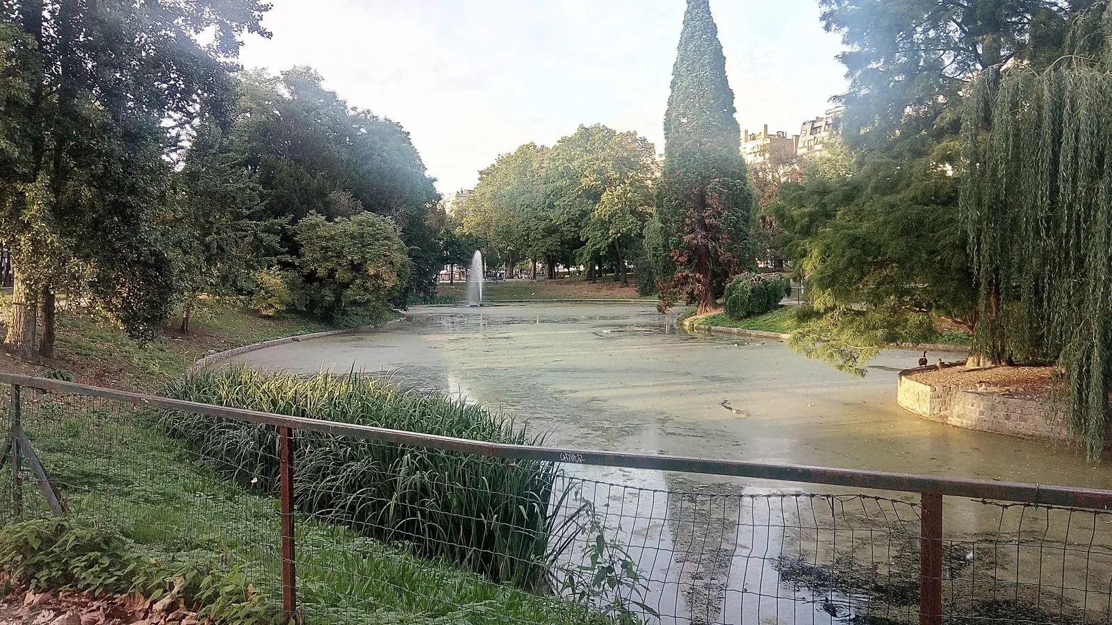 Le parc d'Avroy à Liège, son étang et ses arbres, l'un des îlots de fraîcheur de la ville