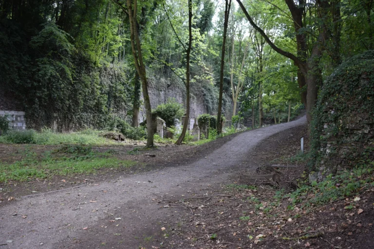 Chemin boisé dans le parc de la Chartreuse à Liège, site de grand intérêt biologique