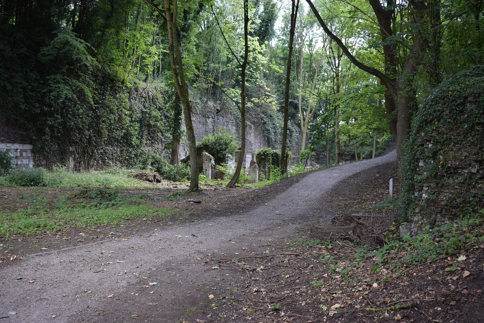 Chemin boisé dans le parc de la Chartreuse à Liège, site de grand intérêt biologique