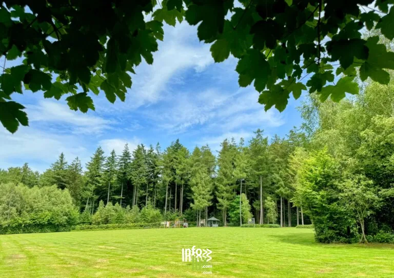 Le parc forestier de Bonance à Libramont-Chevigny